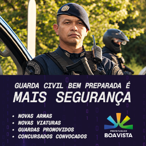 Mais Segurança 300x300
