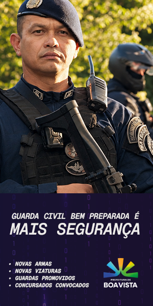 Mais Segurança 300x600